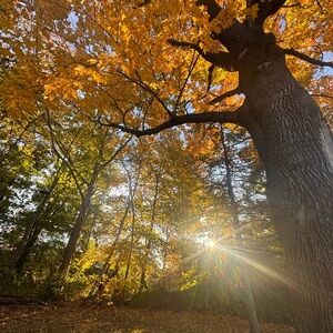 Meet your Posher, Minke